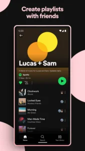 Spotify Premium 3