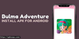 Bulma Adventure 3