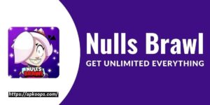 Nulls Brawl