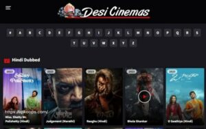 Desi Cinema
